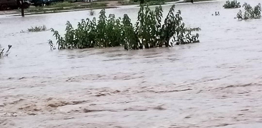 CH1862493 Refugees and returnees navigate flash floods in Renk South Sudan