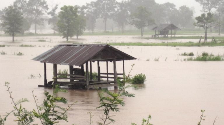 RS45340 IMG 9829 cropped2