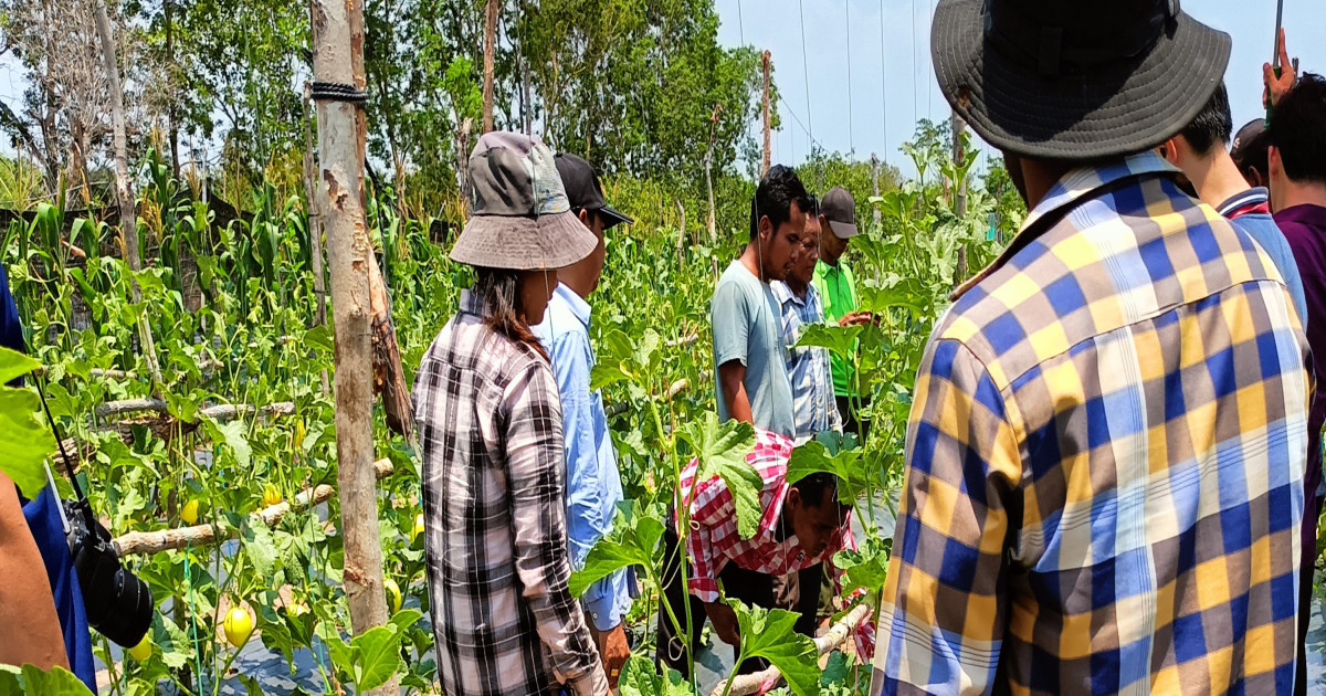 Cambodia Livelihoods — Save the Children